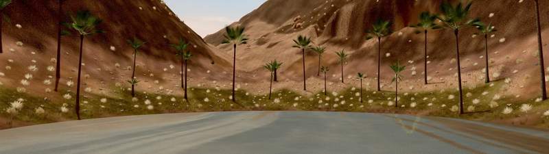 A Tatooine oasis lined with palm trees